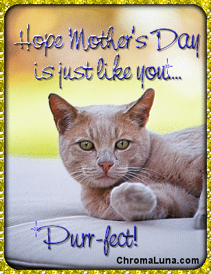 MothersDayCat MothersDayCat