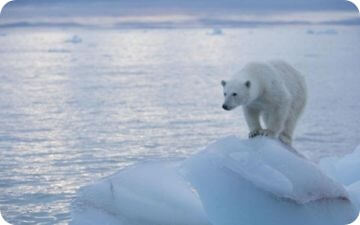 22climatechange