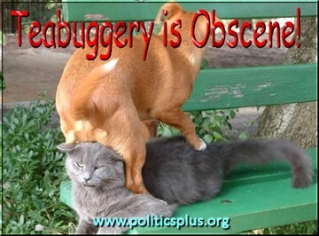 teabag-obscene