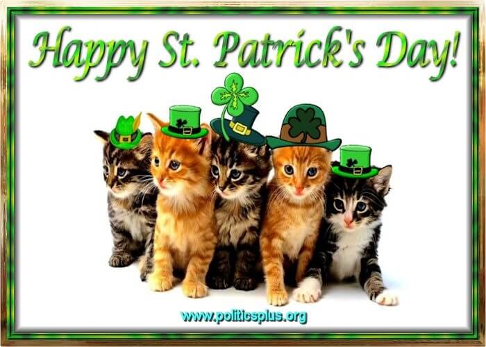 images of st paddys day cats