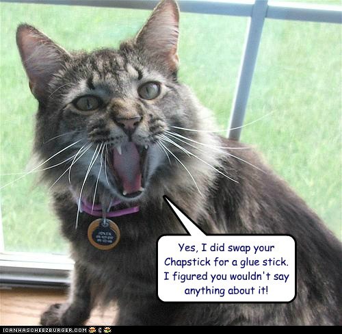 Funny Images Funny Yes Images