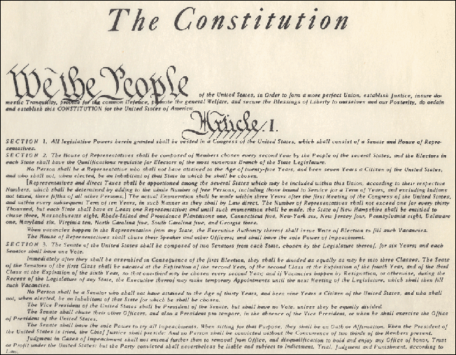Constitution essay