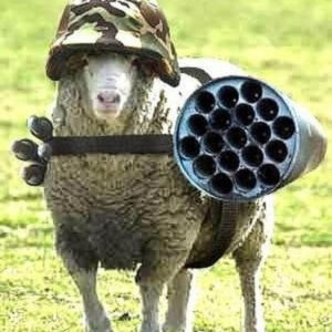 Armed-sheep-e1530623966944.jpg