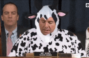 Nunes_Cow-Costume_Impeachment_OPT.gif